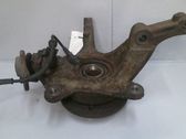 Front wheel hub spindle knuckle