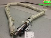 Roof airbag