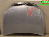 Engine bonnet/hood