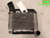 Intercooler radiator