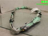 Airbag del techo