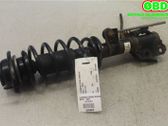 Front shock absorber with coil spring
