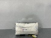 Airbag del pasajero