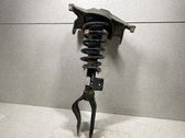 Amortiguador delantero con muelle espiral