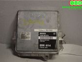 Engine control unit/module ECU
