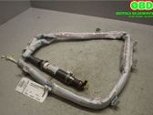 Roof airbag