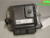 Engine control unit/module ECU