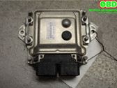 Motorsteuergerät ECU