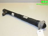 Stoßdämpfer hinten