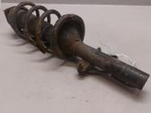 Front shock absorber with coil spring