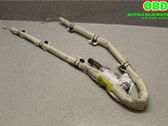 Airbag del techo