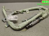 Airbag del techo