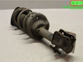Front shock absorber with coil spring