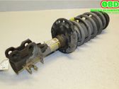 Front shock absorber with coil spring