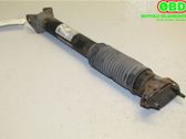 Rear shock absorber/damper