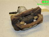 Bremssattel hinten