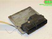Engine control unit/module ECU