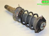 Front shock absorber with coil spring