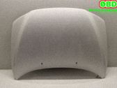 Motorhaube