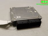 Engine control unit/module ECU