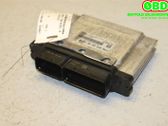 Engine control unit/module ECU