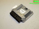 Engine control unit/module ECU
