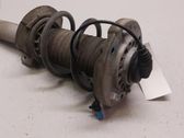 Front shock absorber with coil spring