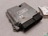 Engine control unit/module ECU