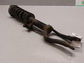 Front shock absorber with coil spring