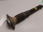 Rear shock absorber/damper