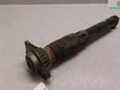 Rear shock absorber/damper