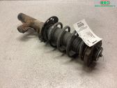 Amortiguador delantero con muelle espiral