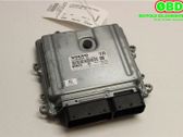 Engine control unit/module ECU