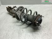 Front shock absorber with coil spring