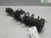 Front shock absorber with coil spring