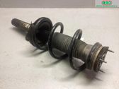 Front shock absorber with coil spring