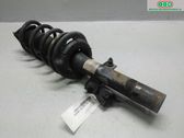 Front shock absorber with coil spring