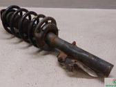 Front shock absorber with coil spring