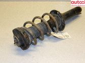 Amortiguador delantero con muelle espiral
