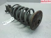 Front shock absorber with coil spring