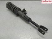 Amortiguador delantero con muelle espiral