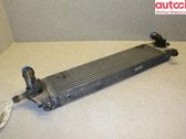 Chłodnica powietrza doładowującego / Intercooler