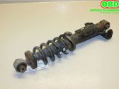 Rear shock absorber with coil spring