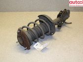 Amortiguador delantero con muelle espiral