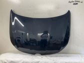 Engine bonnet/hood