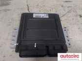 Engine control unit/module ECU