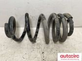 Rear coil spring rubber mount