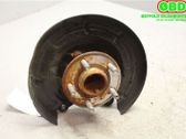 Rear wheel hub spindle/knuckle