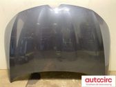 Engine bonnet/hood