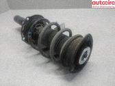 Amortiguador delantero con muelle espiral